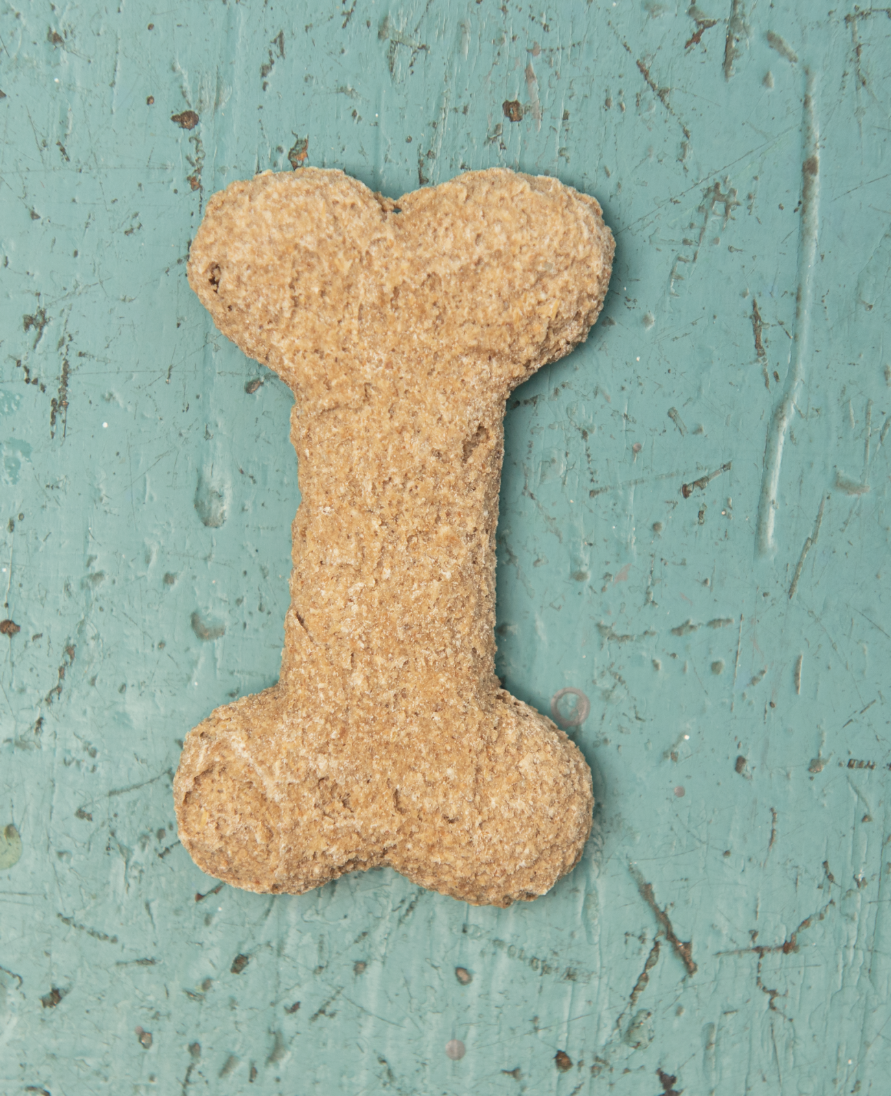 The Pet Issue 2020: Snack Attack